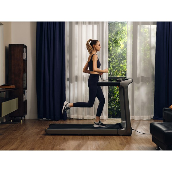 Фото - Беговая дорожка KingSmith WalkingPad Treadmill X218